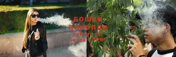 мяу мяу мука Баксан
